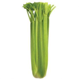 Celeri Tall Utah