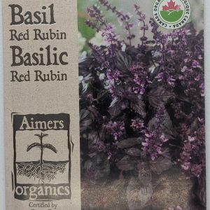 Herbes - Red Rubin Basilic