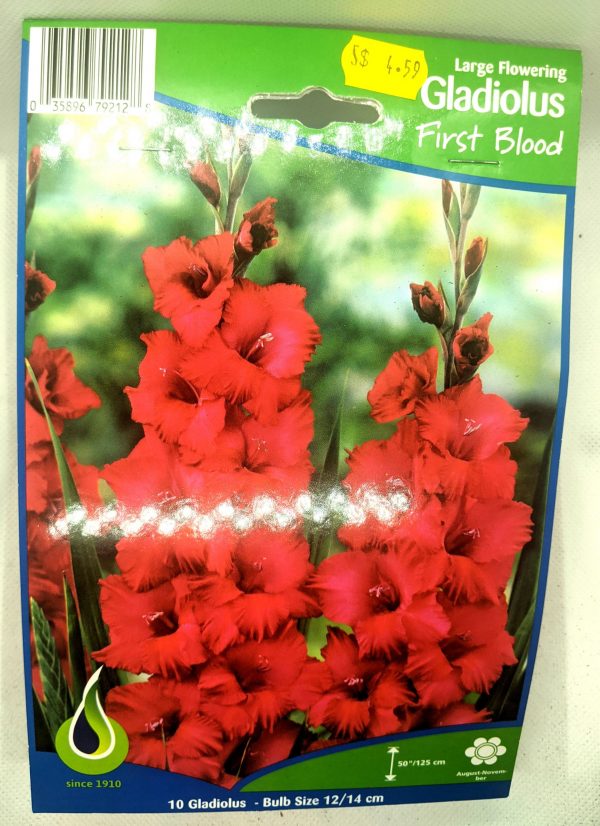 Gladiolus - First Blood