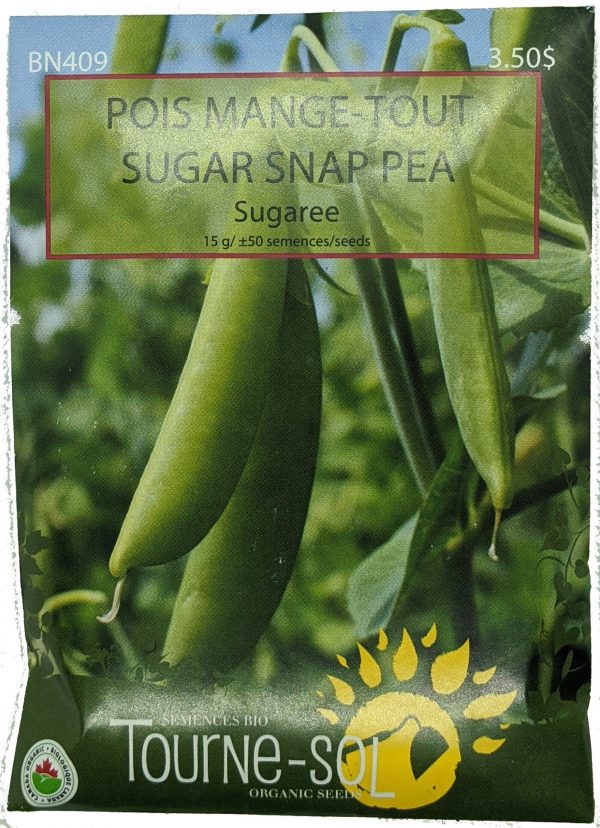 Pois Mange-Tout - Sugaree
