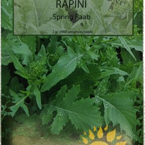 Rapini - Spring Raab