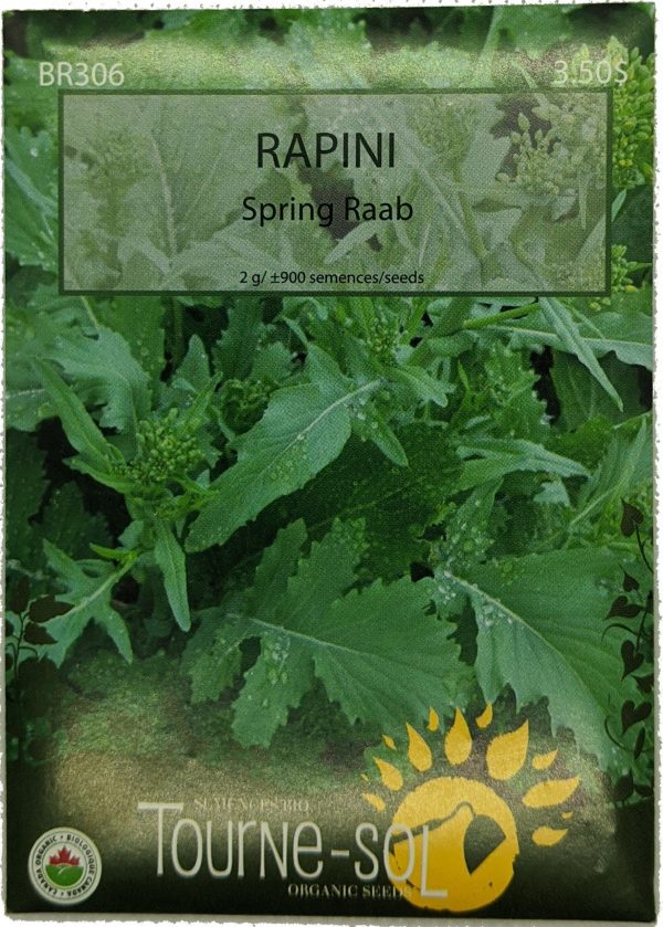 Rapini - Spring Raab