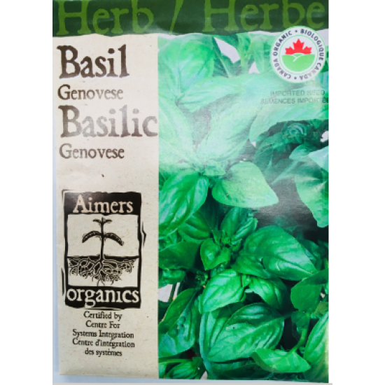 Herbes - Genovese Basilic