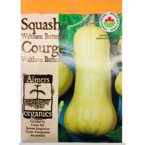 Courge - Waltham Butternut