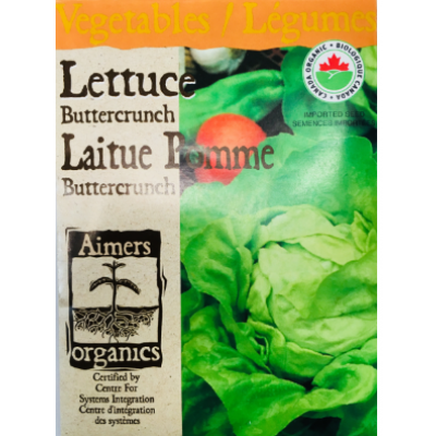 Laitue - Buttercrunch