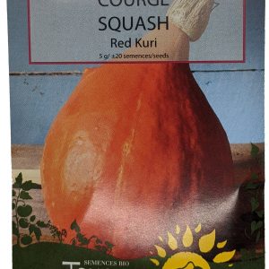 Courge - Red Kuri