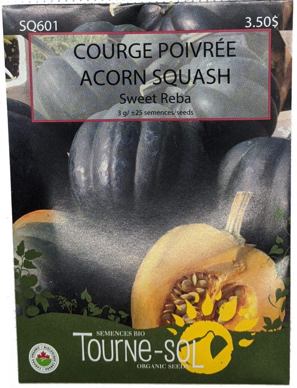 Courge Poivrée - Sweet Reba