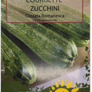 Courgette - Costata Romanesca