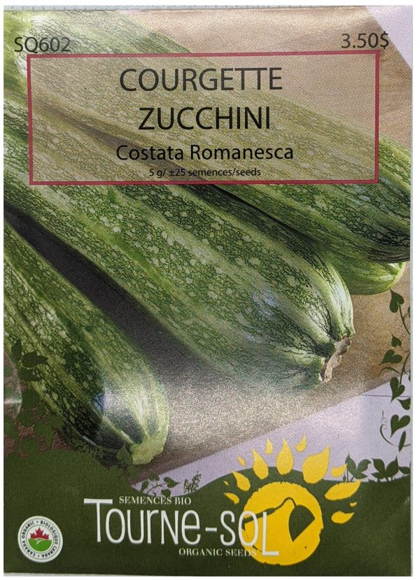 Courgette - Costata Romanesca