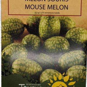 Melon Souris