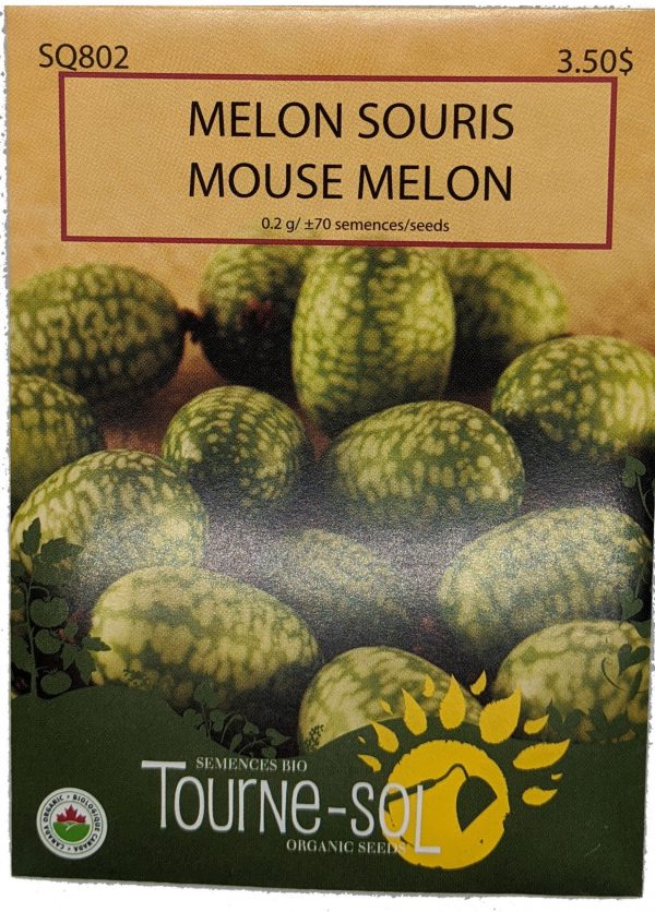 Melon Souris