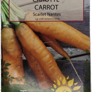 Carotte - Scarlet Nantes