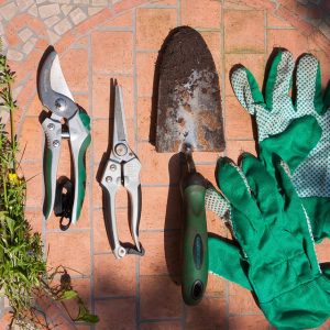 Outils et accessoires de jardinage